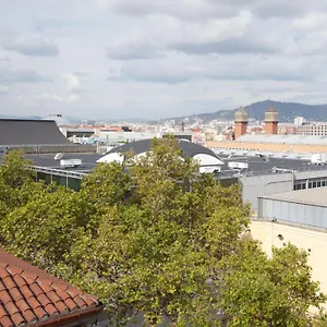 - Corcega , Barcelona España